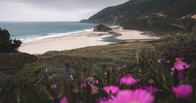 Corse, Ajaccio, Bastia, mountain, beach, sea, cliff, village, maquis, landscape