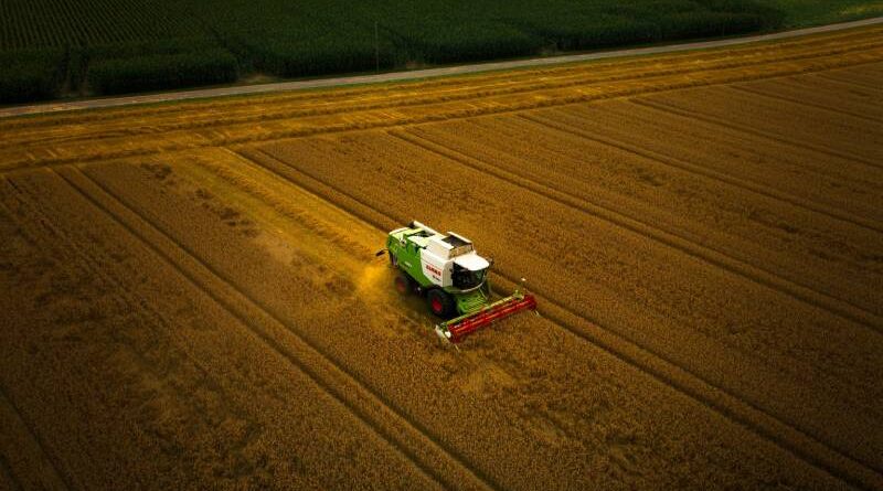 3 000 milliards d'euros de subventions néfastes à la biodiversité