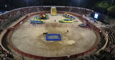 40 000 entrées cet été, toros piscine modernisés… le bilan encourageant des arènes du Cap d’Agde