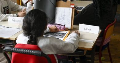 65% des élèves en situation de handicap n'ont pas de numéro INE, selon l'Unapei