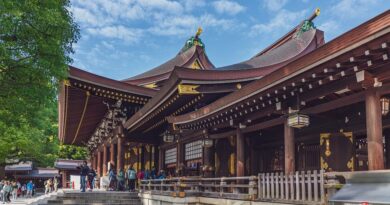 Japan,Tokyo,Mount Fuji,Sakura,Temple,Geisha,Sushi,Traditional culture,Cityscape,Shinto,Landscape