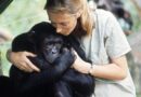 À 91 ans, Jane Goodall partage sa vision du monde