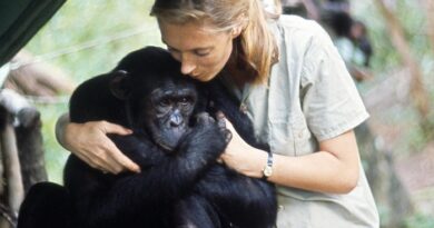 À 91 ans, Jane Goodall partage sa vision du monde