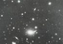A Bâle, Vija Celmins à perte de vue