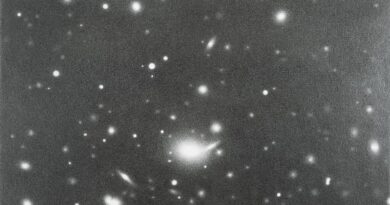 A Bâle, Vija Celmins à perte de vue