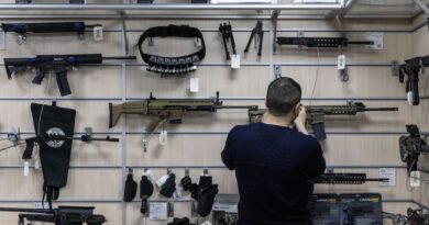À Lyon, dix hommes jugés pour des vols d'armes en Suisse