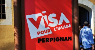 À Perpignan, des manifestants montent une action inattendue devant le festival Visa pour l’image  - ici