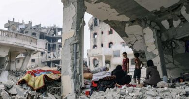 A Visa pour l’image, Gaza et les journalistes toujours dans le viseur