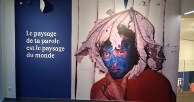 « À l’affût du monde » : la fondation Clément célèbre l’œuvre de Serge Goudin-Thébia