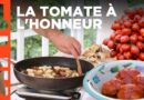 À l'ombre du Vésuve | Les délices de la Campanie | ARTE Family