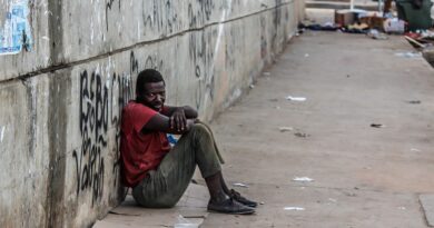 francophonie, Paris, Dakar, Montréal, Brussels, landscape, people, culture, city, Africa