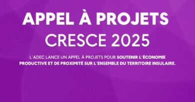 📣 APPEL À PROJETS – CRESCE 2025