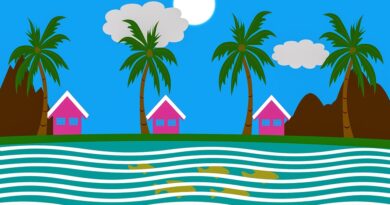 Guadeloupe, Basse-Terre, Pointe-à-Pitre, volcano, beach, palm, waterfall, Creole, island