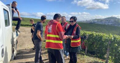 Accusée de "salir" l'image de la Champagne par le président de Région, la CGT mobilisée pour soutenir les vendangeurs étrangers