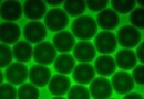 Advanced model unlocks granular hydrogel mechanics for biomedical applications