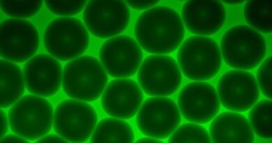 Advanced model unlocks granular hydrogel mechanics for biomedical applications