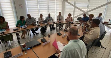 Agression au collège Belle-Etoile à Saint-Joseph : le rectorat annonce un plan d'action