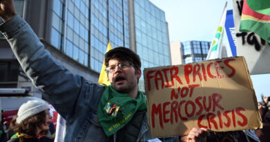 Agriculteurs et eurodéputés vent debout contre l'accord UE-Mercosur sur le point d'être adopté - Euractiv FR