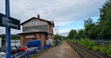 Alsace et Vosges. Chasseurs sur la voie : le trafic ferroviaire perturbé