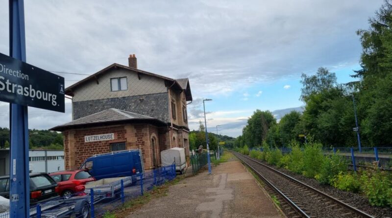 Alsace et Vosges. Chasseurs sur la voie : le trafic ferroviaire perturbé