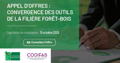 Appel d’offres : Convergence des outils de la filière Forêt-Bois - France Bois Forêt