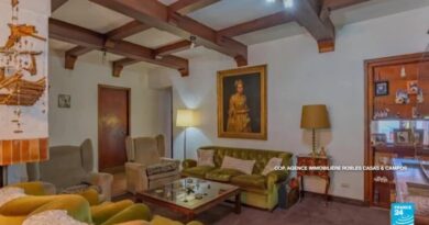 Argentine : un tableau spolié par le régime nazi réapparaît dans une annonce immobilière