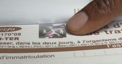 Arrêts de travail : déjà 50 000 euros de fraude en Guadeloupe en 2025
