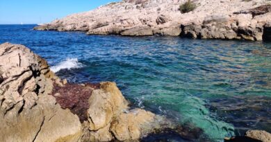 Arsenic, plomb, zinc... dans la calanque de Saména, à Marseille, le lourd chantier de dépollution a commencé