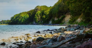 Corse, Ajaccio, Bastia, mountain, beach, sea, cliff, village, maquis, landscape