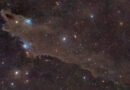 A huge cloud of dark brown gas is pictured hanging against a colourful starfield. The left section of the cloud takes the form of a gaping shark's may as seen from the side, with a bright star forming its eye, while the remainder forms the body to the right of the image with a suggestion of dorsal and pectoral fins.