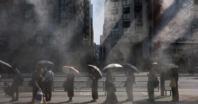 Au Japon, des entreprises se mobilisent pour faire prendre conscience de l’urgence climatique