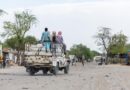 Au Tchad, un fils du fondateur de Boko Haram arrêté