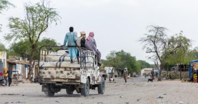 Au Tchad, un fils du fondateur de Boko Haram arrêté