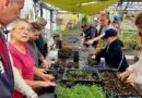 "Au bonheur des jardiniers " aux Taillades : L'ESAT horticole de Cavaillon et sa production sont de la fête !