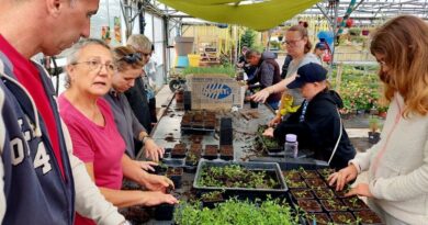 "Au bonheur des jardiniers " aux Taillades : L'ESAT horticole de Cavaillon et sa production sont de la fête !
