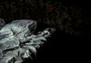 «Au fond des années passées» de Jens Christian Grøndahl : retrouvailles la nuit venant