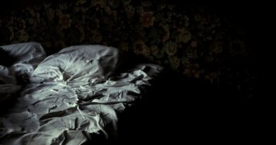 «Au fond des années passées» de Jens Christian Grøndahl : retrouvailles la nuit venant
