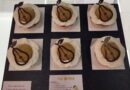 Augustin Le Camus d'Irmstett, 1er prix de la tarte aux fruits de saison à la Foire Européenne de Strasbourg - ici