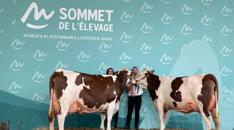 Auvergne. Une première pour la montbéliarde au Sommet de l’élevage de Cournon
