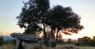 Avec 1000 dolmens cette région française bat largement la Bretagne et a su en faire une ressource économique avec un millions de visiteurs l