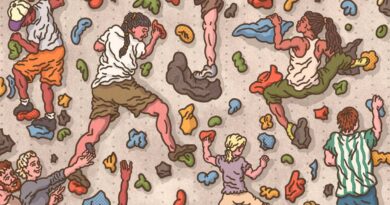Avec l’essor des murs de grimpe artificiels, l’escalade est devenue un sport familial - Le Temps