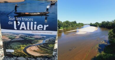 Balade autour de l'histoire d'une rivière sauvage, l'Allier avec Estelle Cournez du CEN Allier - ici