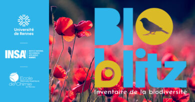 BioBlitz les 12 et 13 septembre sur le campus de Beaulieu - ENSCR