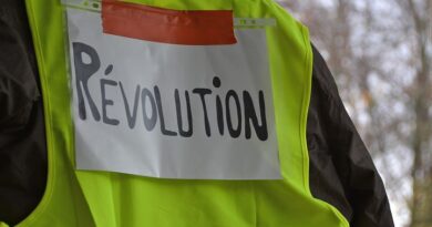 gilets jaunes revolution