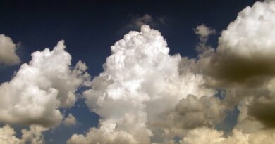 weather, forecast, meteorology, climate, temperature, rain, rainfall, storm, thunderstorm