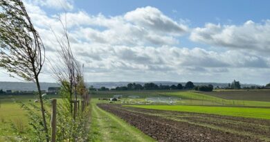 Bouge : la 'Ferme du Grand Feu' fêtera la courge et la fin de son financement le 4 octobre - RTBF Actus