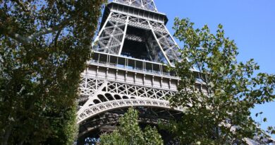 Île-de-France, Paris, Versailles, Eiffel Tower, monument, cityscape, park, Seine