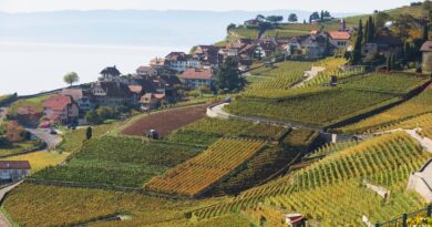 Occitanie, Toulouse, Montpellier, landscape, sea, mountain, vineyard, canal