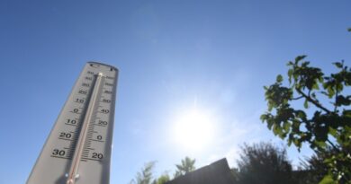 Canicule : plus de 280 morts en excès en France au mois d’août, quelles sont les régions les plus touchées en France ?