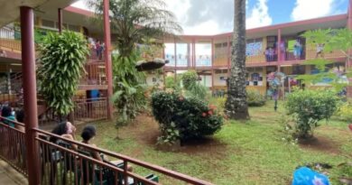 Cayenne : une directrice d'école agressée à coups de tournevis